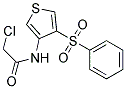 N1-[4-(PHENYLSULPHONYL)-3-THIENYL]-2-CHLOROACETAMIDE 结构式