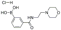 3-[(2-Morpholin-4-ylethyl)carbamoyl]benzeneboronic acid hydrochloride 结构式