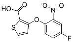 3-(4-Fluoro-2-nitrophenoxy)thiophene-2-carboxylic acid 结构式