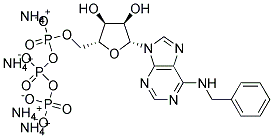 N-BENZYLADENOSINE TRIPHOSPHATE, AMMONIUM SALT 结构式