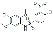 N1-(4-CHLORO-2,5-DIMETHOXYPHENYL)-4-CHLORO-3-NITROBENZENE-1-SULPHONAMIDE 结构式