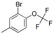 5-METHYL-2-(TRIFLUOROMETHOXY)BROMOBENZEN 结构式