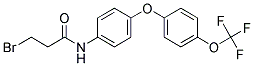 N-{4-[4-(TRIFLUOROMETHOXY)PHENOXY]PHENYL}-3-BROMOPROPANAMIDE 结构式