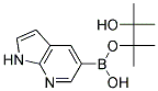 7-AZAINDOLE-5-BORONIC ACID PINACOL ESTER 结构式