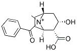 BenzoylecgonineDerivative 结构式