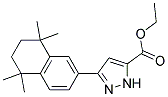 ETHYL 3-(1,2,3,4-TETRAHYDRO-1,1,4,4-TETRAMETHYLNAPHTHALEN-6-YL)-1H-PYRAZOLE-5-CARBOXYLATE 结构式