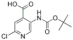 5-(N-叔丁氧羰基氨基)-2-氯吡啶-4-羧酸 结构式