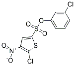 3-CHLOROPHENYL 5-CHLORO-4-NITROTHIOPHENE-2-SULPHONATE 结构式