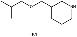 (ISOBUTOXYMETHYL)PIPERIDINE HYDROCHLORIDE 结构式