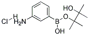 (3-Aminophenyl)boronic acid, pinacol ester hydrochloride 结构式