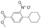 4-CYCLOHEXYL-3-NITRO-BENZOIC ACID METHYL ESTER 结构式