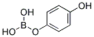 4-Hydroxy Phenylboric Acid 结构式