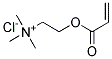 ACRYLOXYETHYLTRIMETHYL AMMONIUM CHLORIDE 结构式