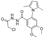 N'-(2-CHLOROACETYL)-2-(2,5-DIMETHYL-1H-PYRROL-1-YL)-4,5-DIMETHOXYBENZOHYDRAZIDE, TECH 结构式