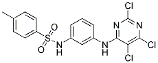 N1-{3-[(2,5,6-TRICHLOROPYRIMIDIN-4-YL)AMINO]PHENYL}-4-METHYLBENZENE-1-SULPHONAMIDE 结构式