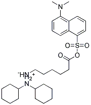 DANSYL EPSILON-(L)-AMINO-N-CAPROIC ACID DICYCLOHEXYLAMMONIUM SALT 结构式