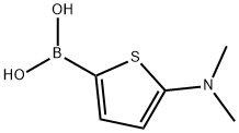 (5-(二甲基氨基)噻吩-2-基)硼酸 结构式