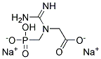 PHOSPHOCREATINE DISODIUM SYNTHETIC*PREWEIGHED VIAL 结构式