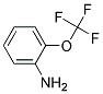 Aminophenyl trifluoromethyl ether 结构式