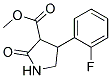 3-甲氧羰基-4-(2`-氟苯基)-2-吡咯啉酮 结构式