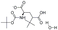 Boc-G-tert.-butyl-D-glutamate H2O 结构式