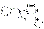 9-BENZYL-2,8-DIMETHYL-6-(PYRROLIDIN-1-YL)-9H-PURINE 结构式