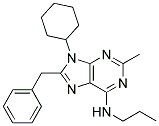 8-BENZYL-9-CYCLOHEXYL-2-METHYL-N-PROPYL-9H-PURIN-6-AMINE 结构式