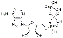 ADENOSINE 5'-TRIPHOSPHATE ASSAY MIX*DILUTION BUFFER 结构式