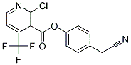 4-(CYANOMETHYL)PHENYL 2-CHLORO-4-(TRIFLUOROMETHYL)NICOTINATE, TECH 结构式