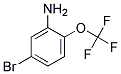 3-AMINO-4-(TRIFLUOROMETHOXY)BROMOBENZEN 结构式