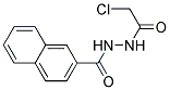 N'-(2-Chloroacetyl)naphth-2-ylhydrazide 结构式