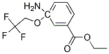 3-AMINO-3-(2,2,2-TRIFLUOROETHOXY)-BENZOIC ACID ETHYL ESTER 结构式