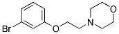 4-[2-(3-Bromophenoxy)ethyl]morpholin 结构式