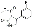 3-甲氧羰基-4-(3`-氟苯基)-2-吡咯啉酮 结构式