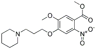 5-METHOXY-2-NITRO-4-(3-PIPERIDIN-1-YL-PROPOXY)-BENZOIC ACID METHYL ESTER 结构式