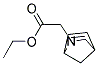 Ethyl 2-(2-aza-bicyclo[2.2.1]hept-5-en-2-yl)acetate 结构式