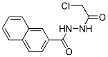 N'-(2-CHLOROACETYL)-2-NAPHTHOHYDRAZIDE, TECH 结构式