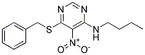 6-(BENZYLTHIO)-N-BUTYL-5-NITROPYRIMIDIN-4-AMINE 结构式