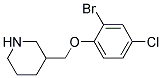 3-(2-Bromo-4-chloro-phenoxymethyl)-piperidine 结构式