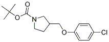 3-(4-Chloro-phenoxymethyl)-pyrrolidine-1-carboxylic acid tert-butyl ester 结构式