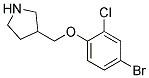 3-(4-Bromo-2-chloro-phenoxymethyl)-pyrrolidine 结构式