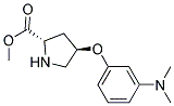 methyl (2S,4R)-4-[3-(dimethylamino)phenoxy]pyrrolidine-2-carboxylate 结构式