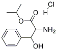 ISOPROPYL2-AMINO-3-HYDROXY-3-PHENYLPROPIONATEHYDROCHLORIDE 结构式