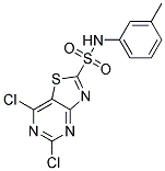 5,7-Dichlorothiazolo[4,5-d]pyrimidin-2-sulfonicacid(3-methylphenyl)amide 结构式