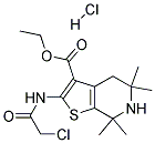 2-(2-氯乙酰胺)-5,5,7,7-四甲基-4H,5H,6H,7H-噻吩并[2,3-C]吡啶-3-羧酸乙酯盐酸盐 结构式