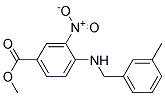 4-(3-Methyl-benzylamino)-3-nitro-benzoic acid methyl ester 结构式