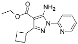 ethyl 5-amino-3-cyclobutyl-1-pyridin-2-yl-1H-pyrazole-4-carboxylate 结构式