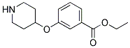 3-(Piperidin-4-yloxy)-benzoic acid ethyl ester 结构式