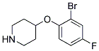4-(2-Bromo-4-fluoro-phenoxy)-piperidine 结构式