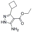 ethyl 5-amino-3-cyclobutyl-1H-pyrazole-4-carboxylate 结构式